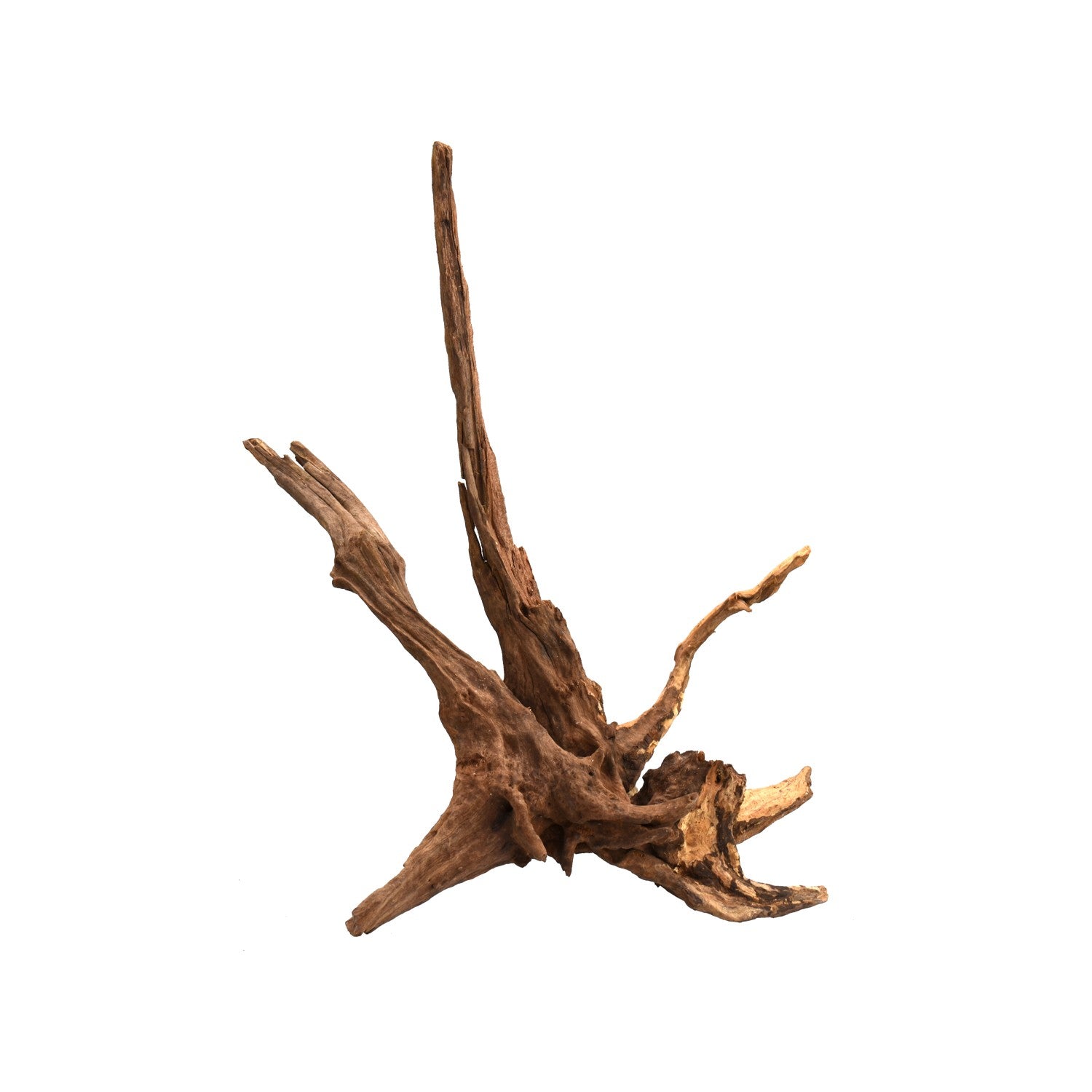 AQPET Legno Naturale Drift Wood Medium AQPET Legno Naturale Drift Wood Medium